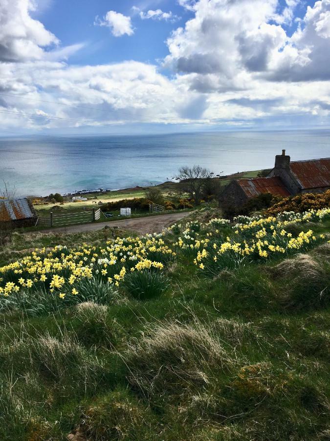 Apartament The Stroops Helmsdale Zewnętrze zdjęcie